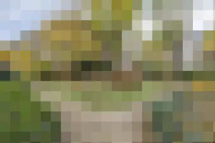 Oosteinde 38 A Rotterdam thumbnail 31