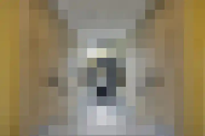 Oosteinde 38 A Rotterdam thumbnail 6