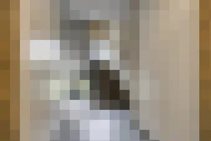 Oosteinde 38 A Rotterdam thumbnail 7