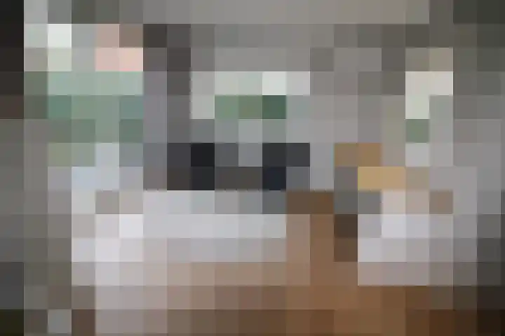 Oosteinde 387 Vriezenveen thumbnail 10