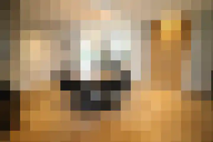 Oosteinde 387 Vriezenveen thumbnail 11