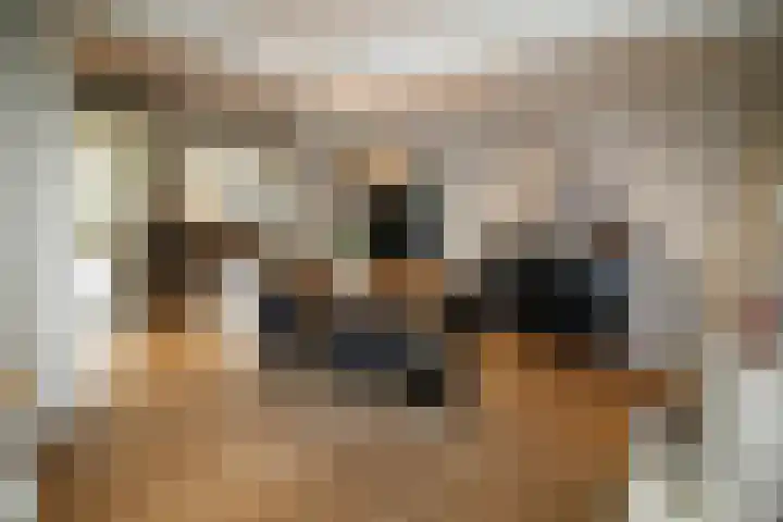 Oosteinde 387 Vriezenveen thumbnail 12
