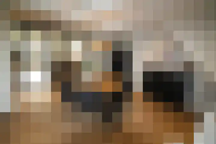 Oosteinde 387 Vriezenveen thumbnail 13