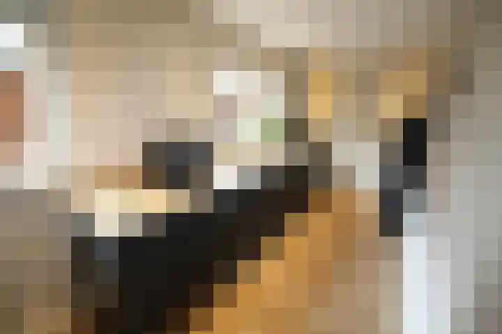 Oosteinde 387 Vriezenveen thumbnail 15