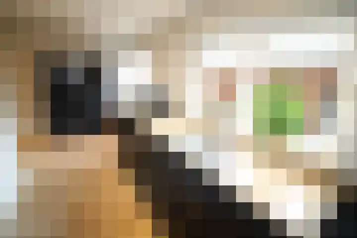 Oosteinde 387 Vriezenveen thumbnail 16