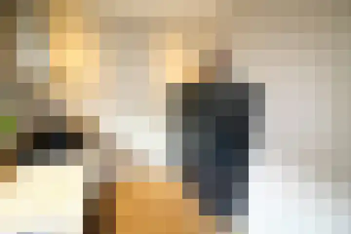 Oosteinde 387 Vriezenveen thumbnail 17