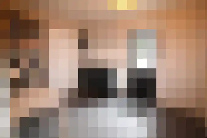 Oosteinde 387 Vriezenveen thumbnail 25