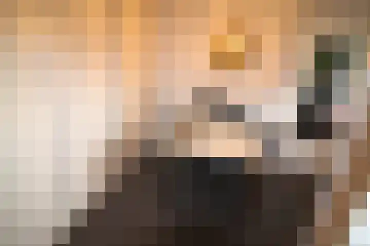 Oosteinde 387 Vriezenveen thumbnail 26