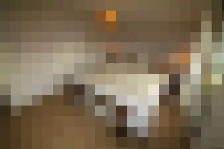 Oosteinde 387 Vriezenveen thumbnail 29