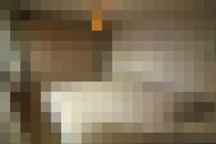 Oosteinde 387 Vriezenveen thumbnail 30