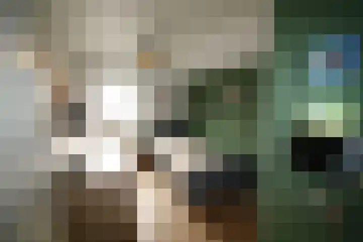 Oosteinde 387 Vriezenveen thumbnail 31