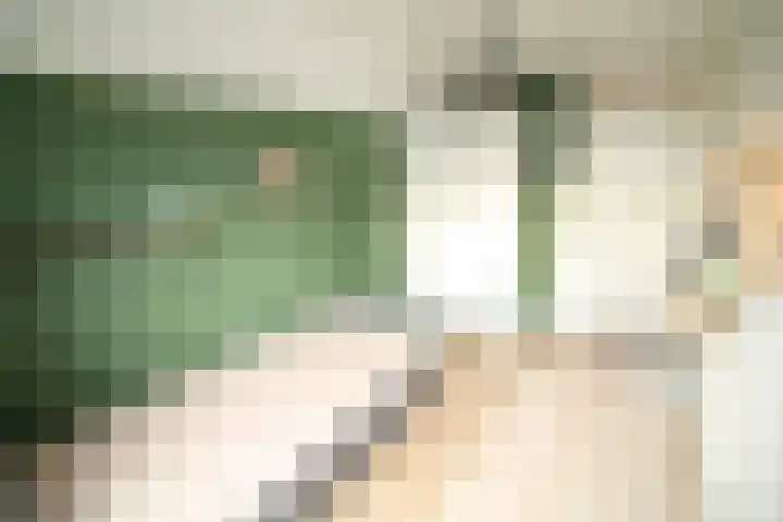 Oosteinde 387 Vriezenveen thumbnail 32