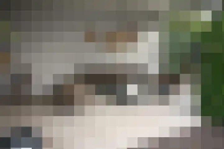 Oosteinde 387 Vriezenveen thumbnail 45