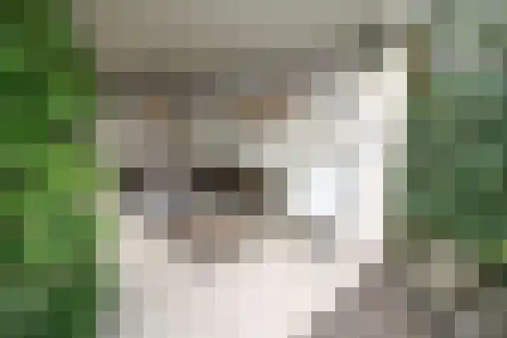 Oosteinde 387 Vriezenveen thumbnail 46