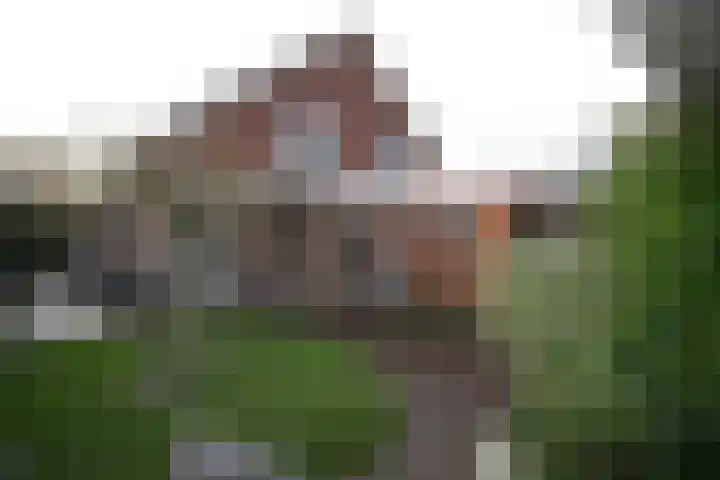 Oosteinde 387 Vriezenveen thumbnail 47