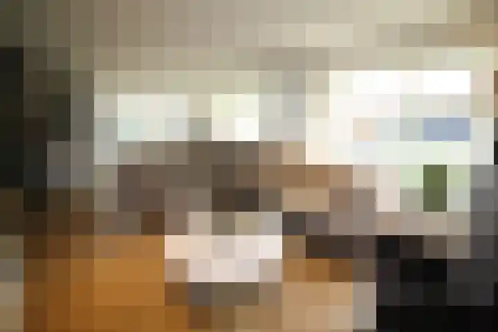 Oosteinde 387 Vriezenveen thumbnail 6