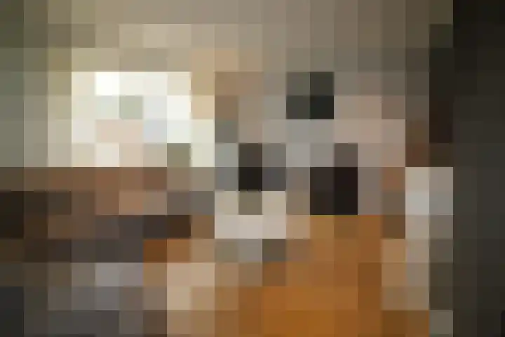 Oosteinde 387 Vriezenveen thumbnail 7