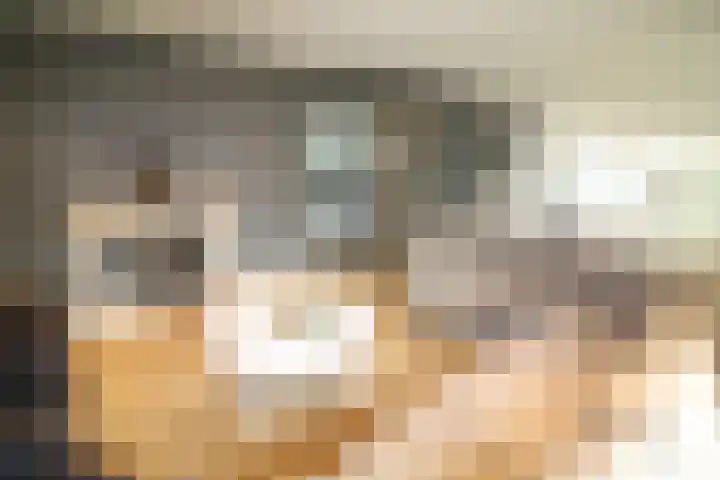 Oosteinde 387 Vriezenveen thumbnail 8