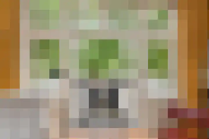 Oosteinde 39 Voorburg thumbnail 46