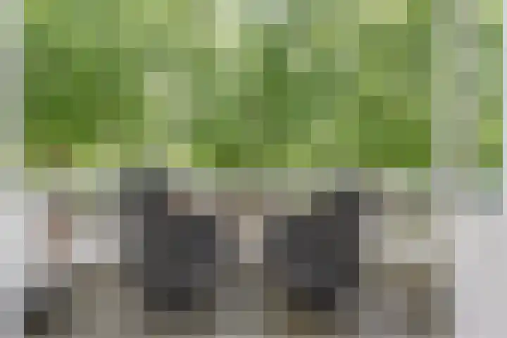 Oosteinde 39 Voorburg thumbnail 47