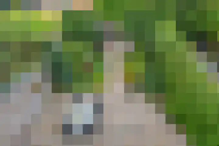 Oosteinde 39 Voorburg thumbnail 71