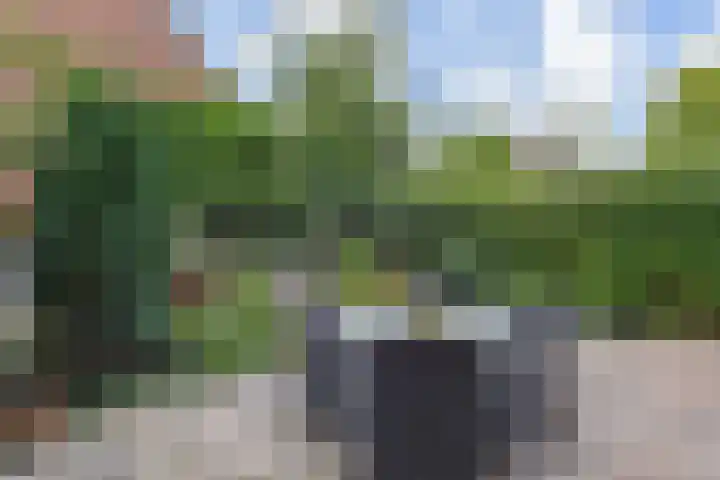 Oosteinde 39 Voorburg thumbnail 75