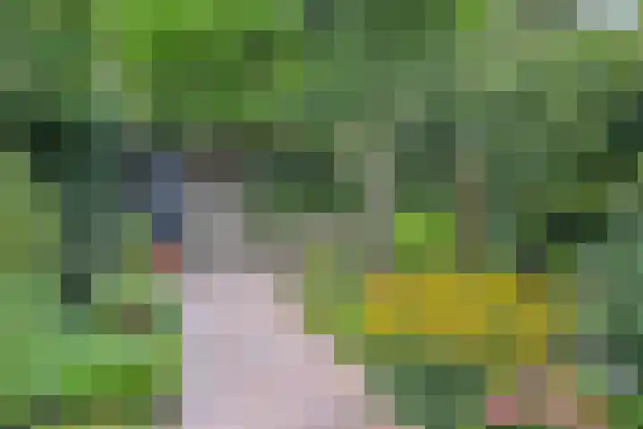 Oosteinde 39 Voorburg thumbnail 76