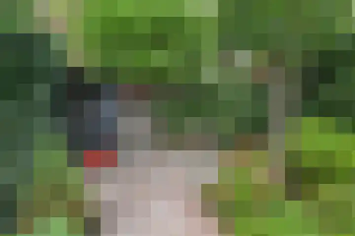Oosteinde 39 Voorburg thumbnail 77