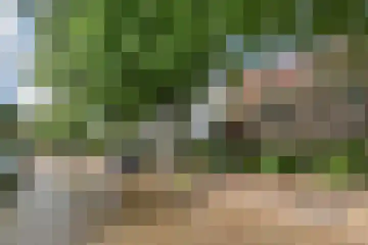 Oosteinde 39 Voorburg thumbnail 8