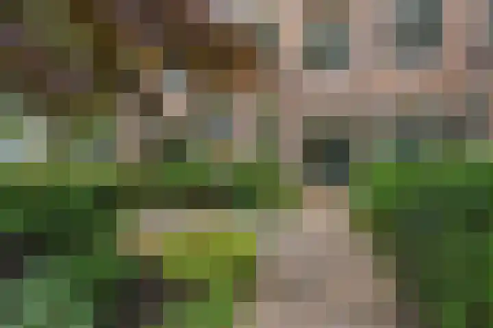 Oosteinde 39 Voorburg thumbnail 9