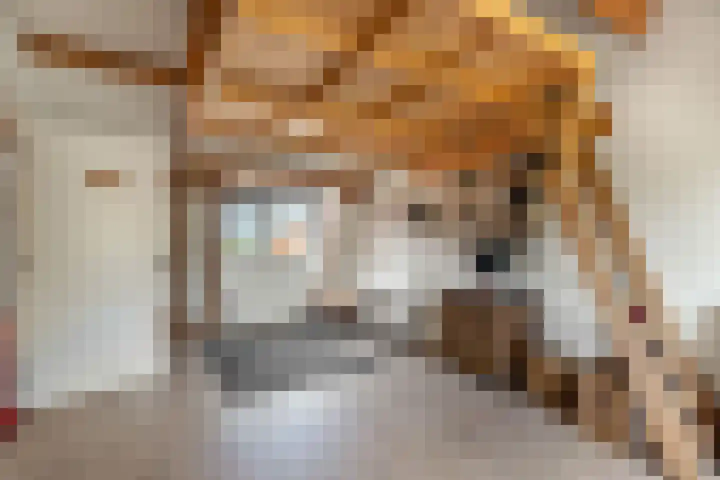 Oosteinde 40 Berkhout thumbnail 15