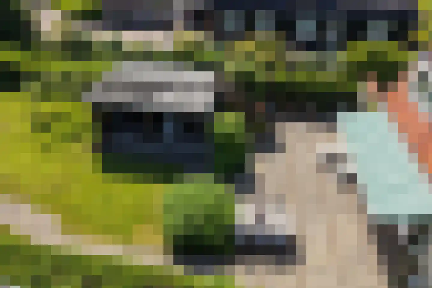 Oosteinde 40 Berkhout thumbnail 20