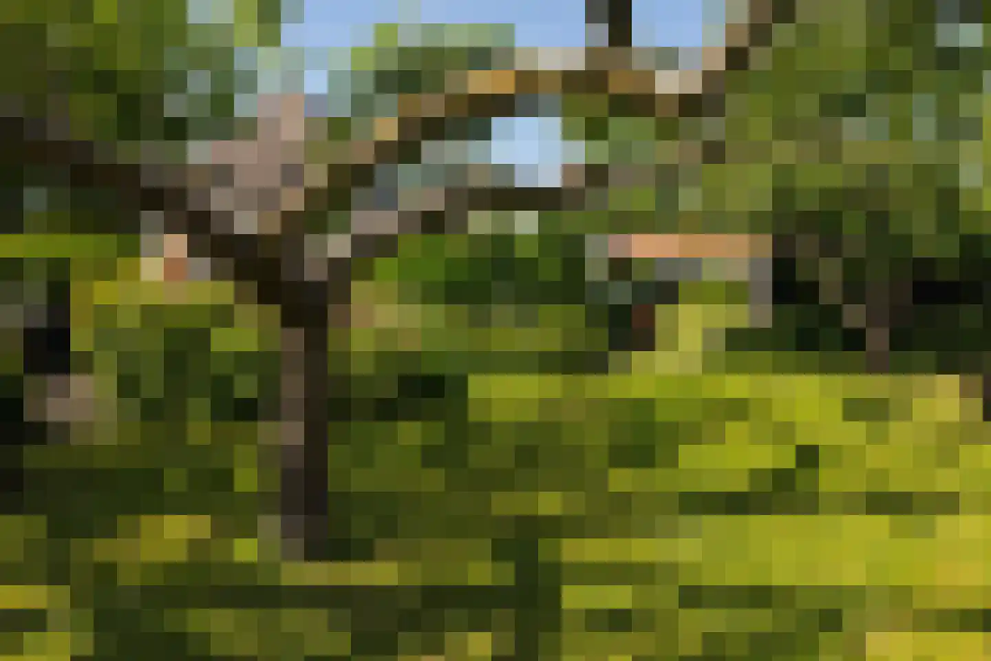 Oosteinde 40 Berkhout thumbnail 22