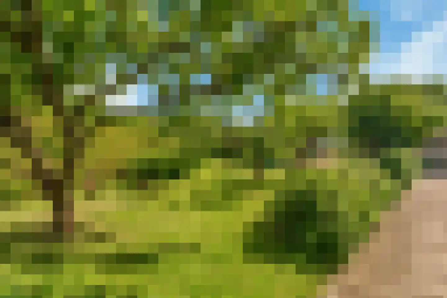 Oosteinde 40 Berkhout thumbnail 24