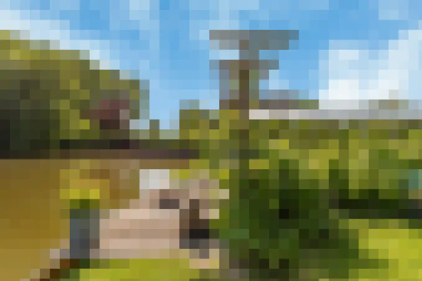 Oosteinde 40 Berkhout thumbnail 4