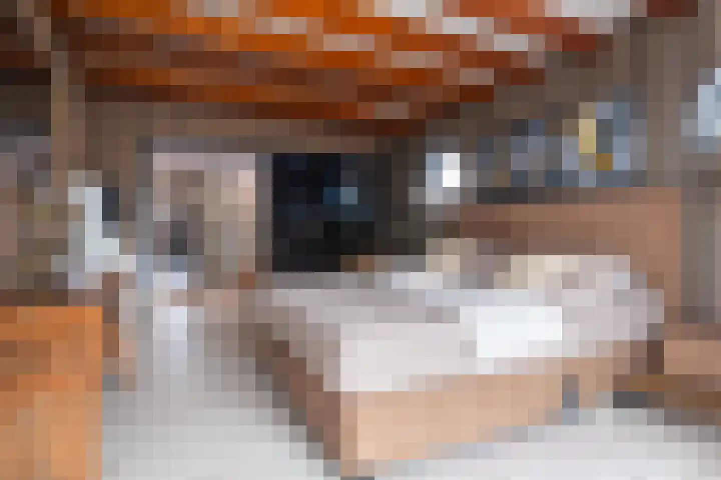 Oosteinde 40 Oostwoud thumbnail 26