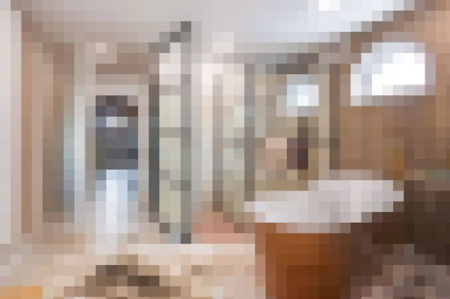 Oosteinde 40 Oostwoud thumbnail 27