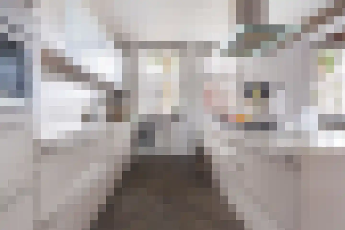 Oosteinde 40 Oostwoud thumbnail 32