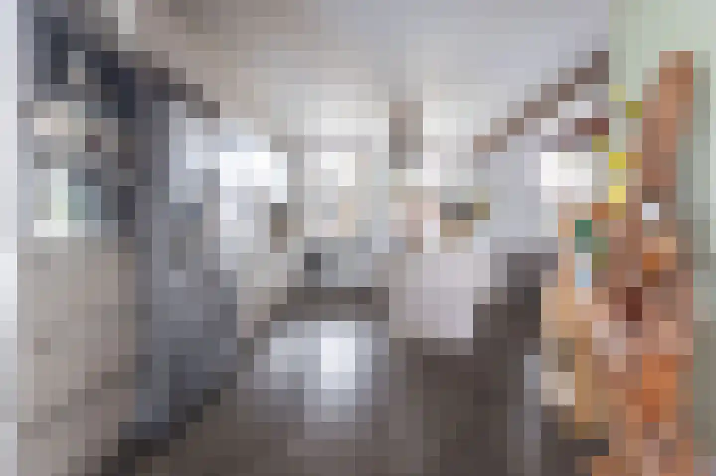 Oosteinde 40 Oostwoud thumbnail 36