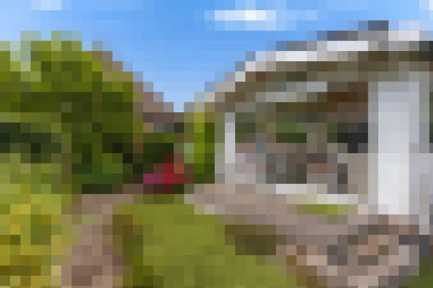 Oosteinde 40 Oostwoud thumbnail 39