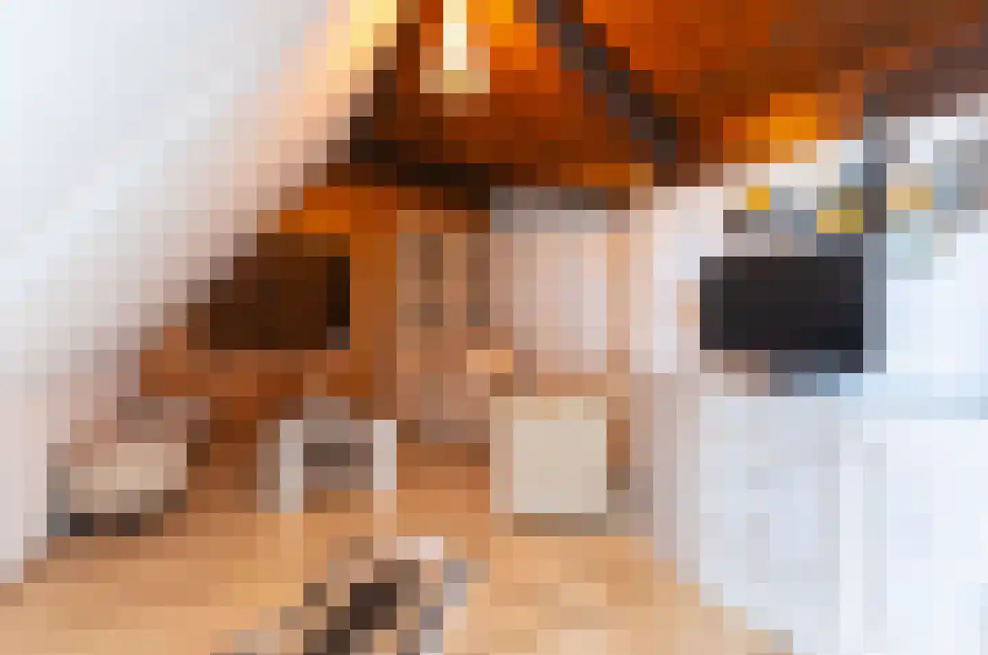 Oosteinde 40 Oostwoud thumbnail 58