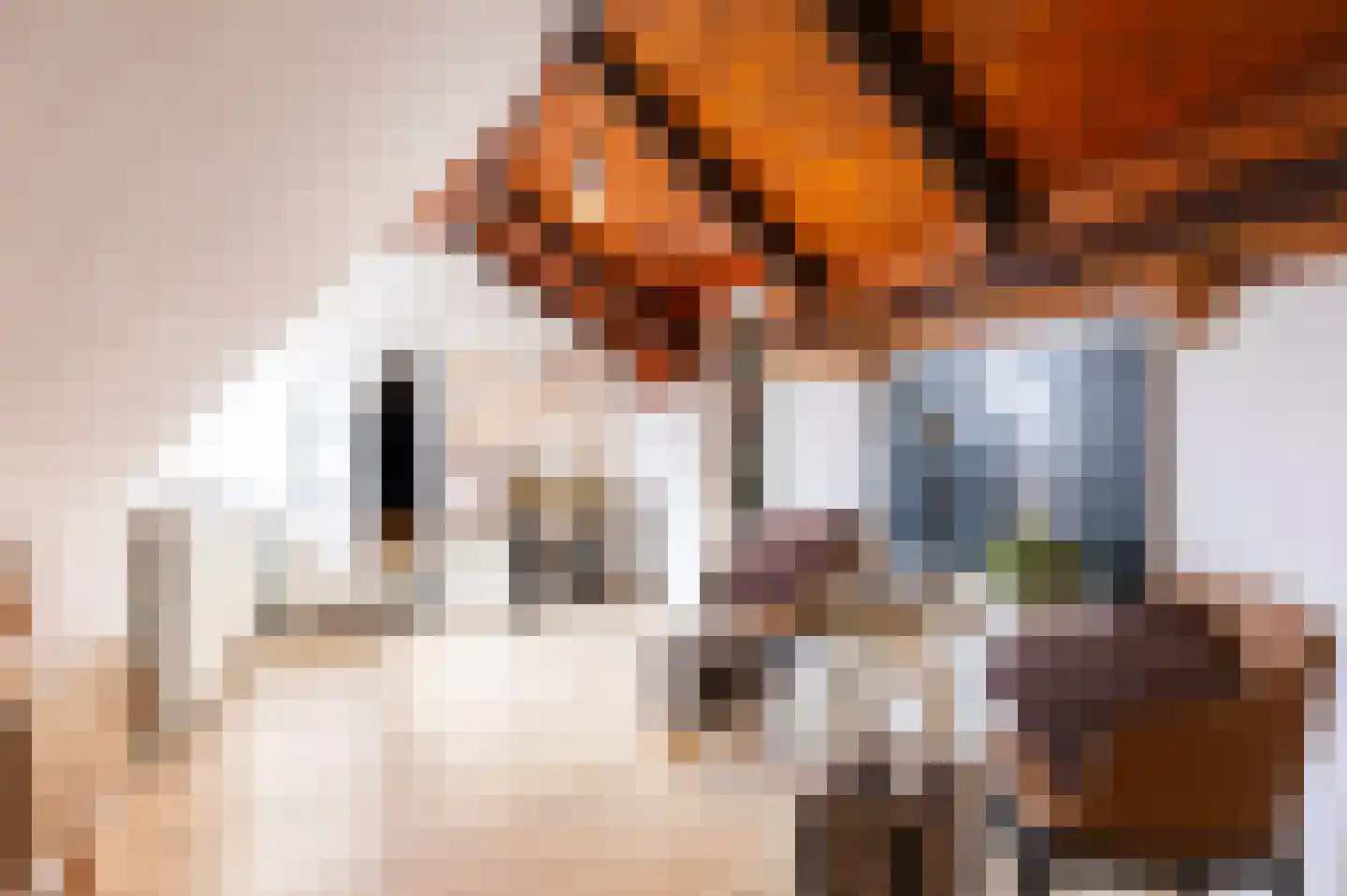 Oosteinde 40 Oostwoud thumbnail 61