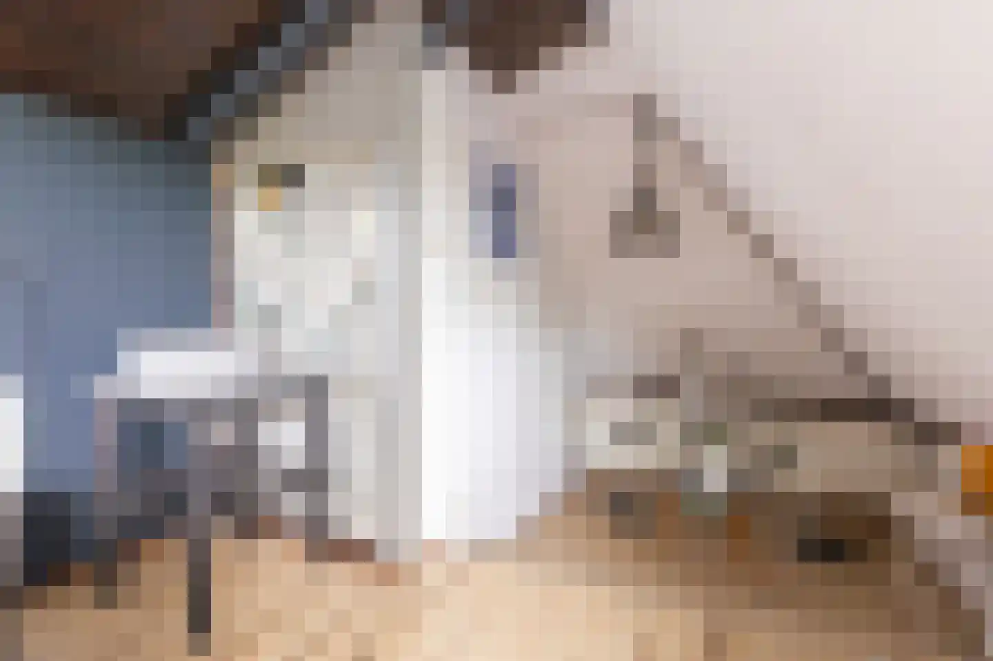 Oosteinde 40 Oostwoud thumbnail 65
