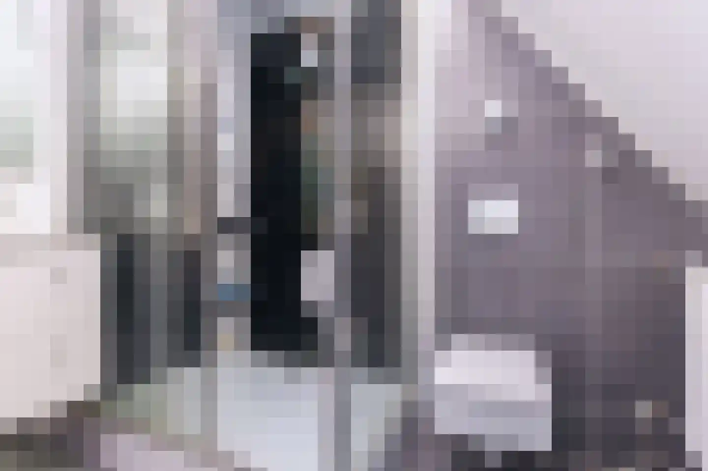 Oosteinde 40 Oostwoud thumbnail 70