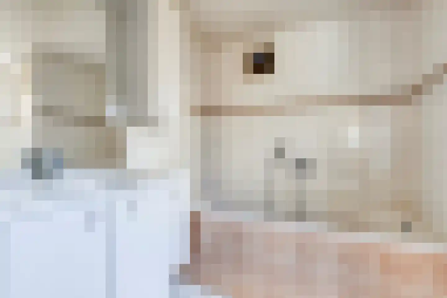 Oosteinde 41 Scherpenzeel thumbnail 11