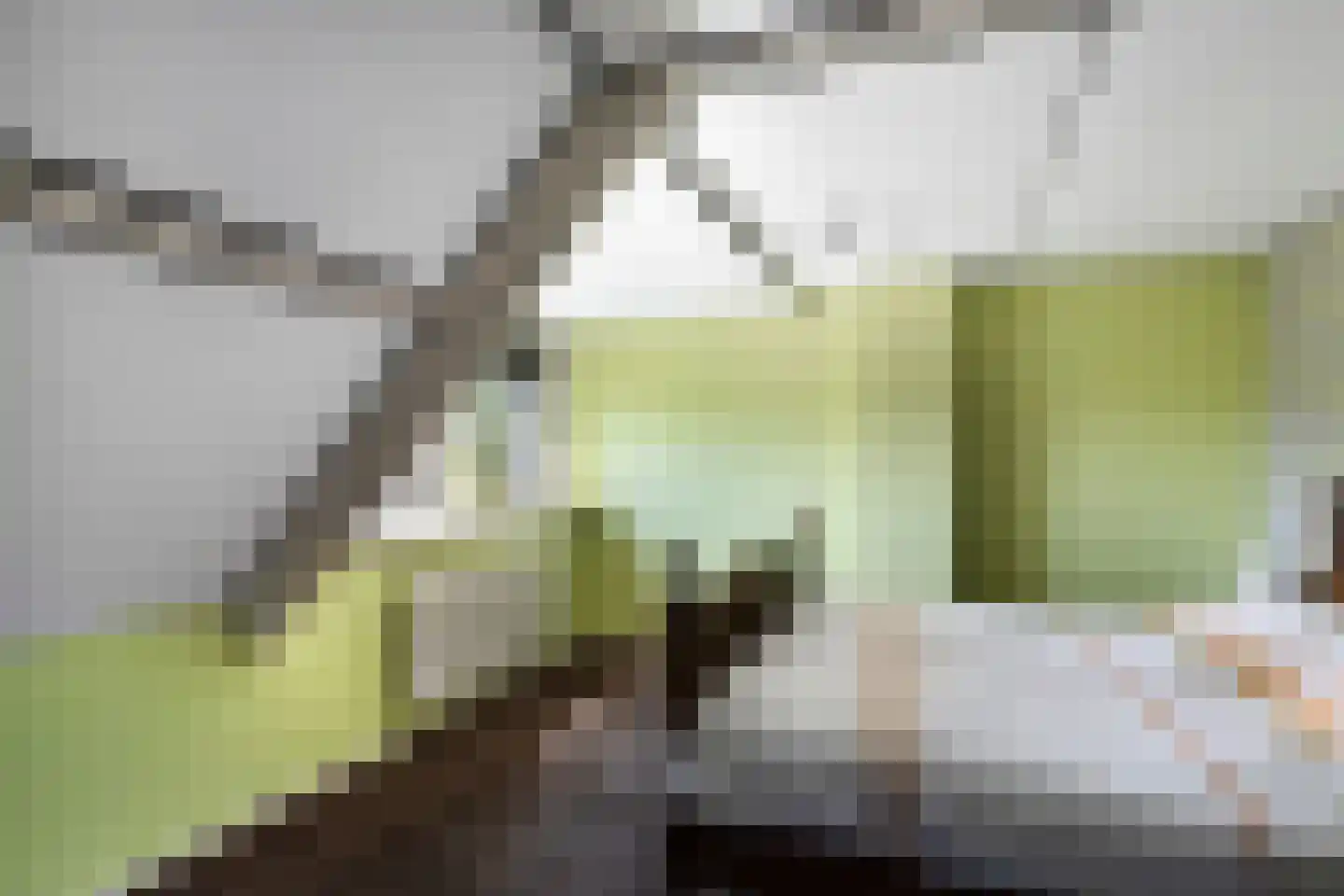 Oosteinde 41 Scherpenzeel thumbnail 15