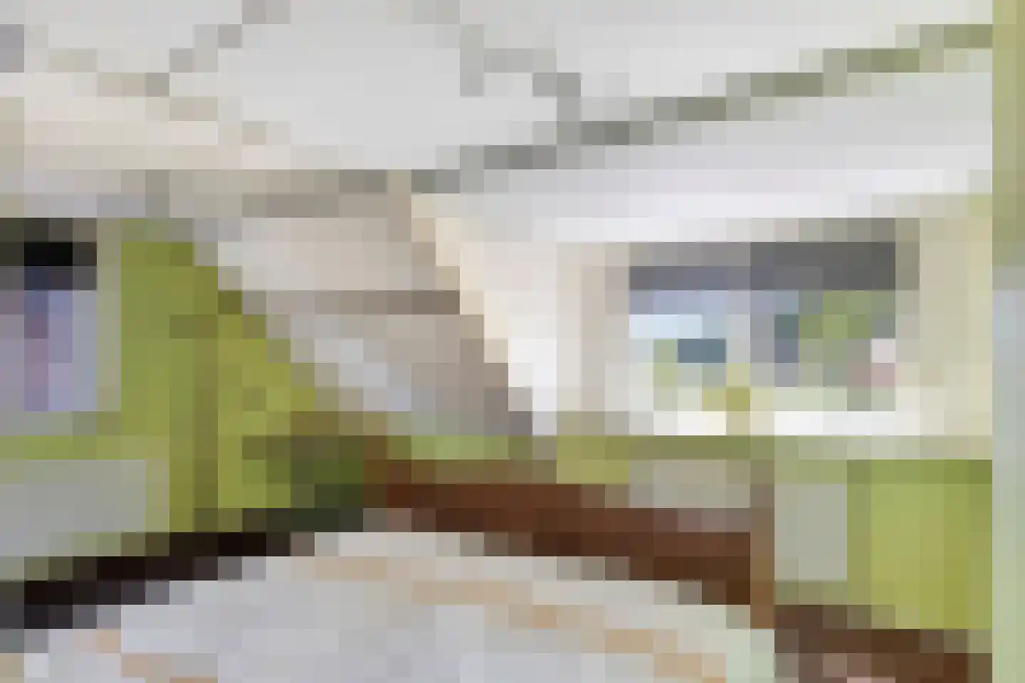 Oosteinde 41 Scherpenzeel thumbnail 16