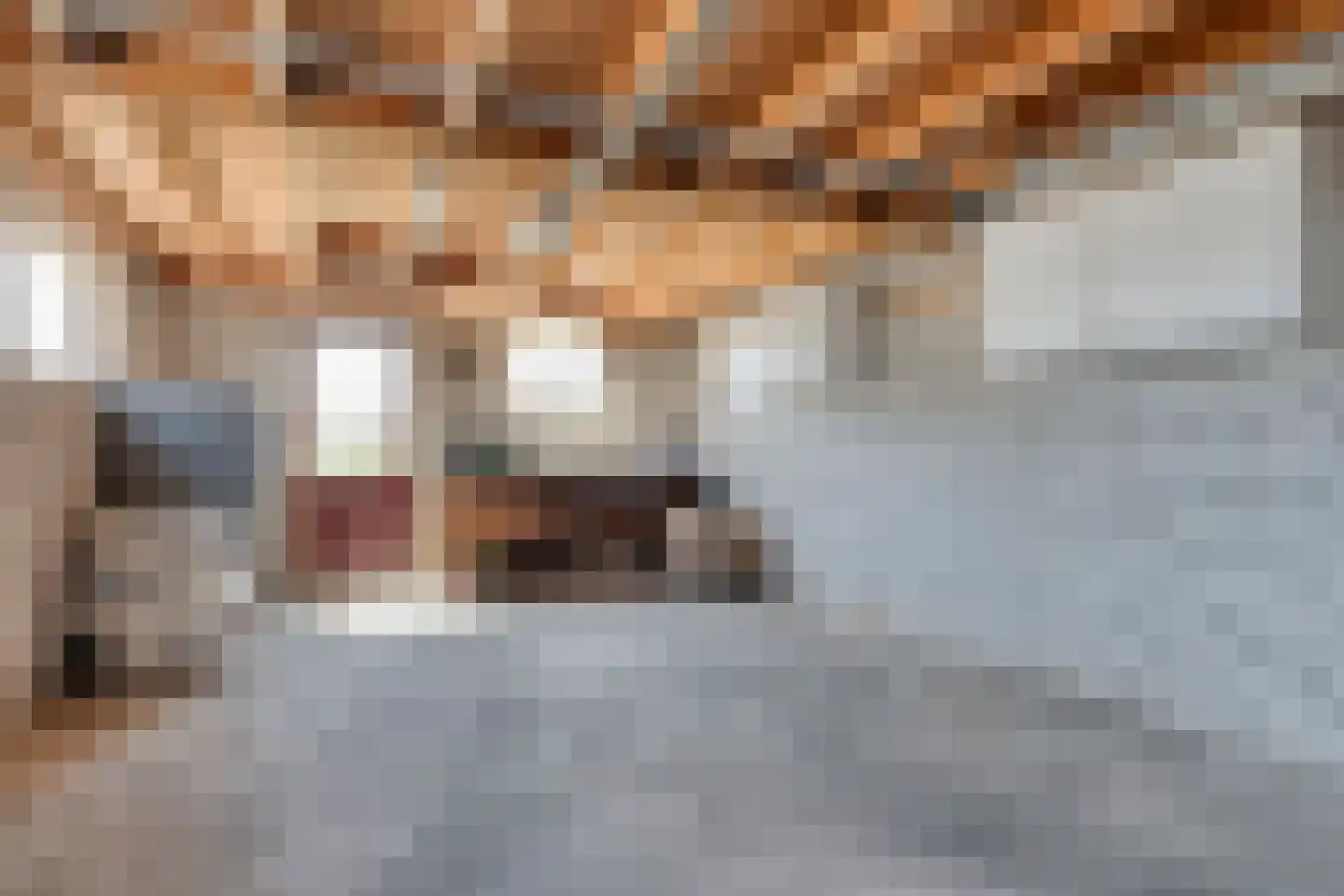 Oosteinde 41 Scherpenzeel thumbnail 21