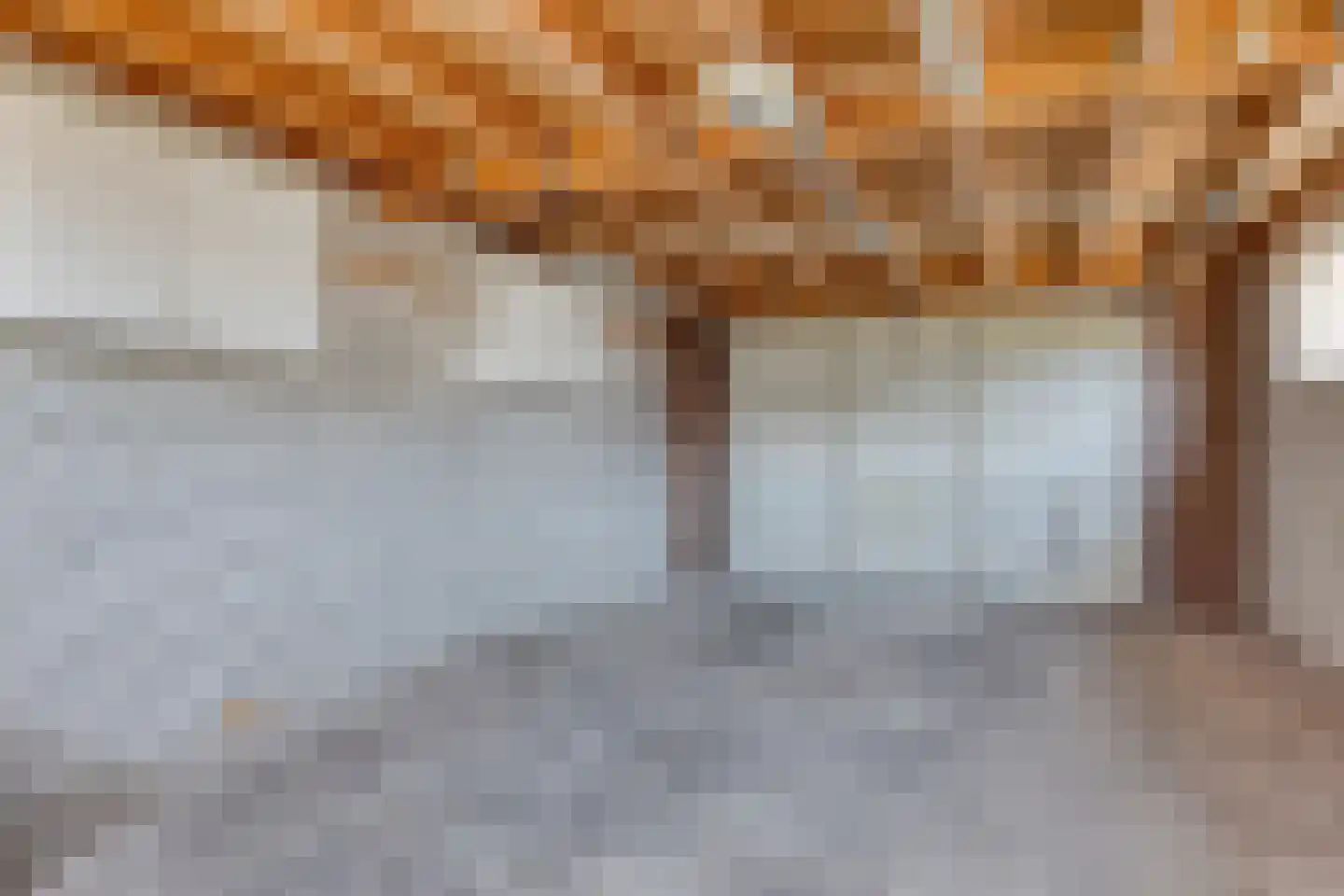 Oosteinde 41 Scherpenzeel thumbnail 22