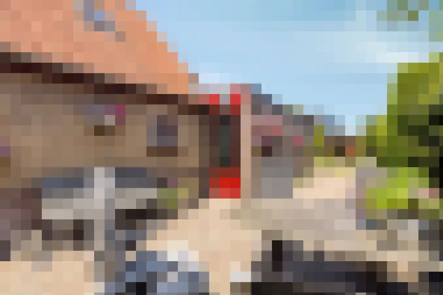 Oosteinde 41 Scherpenzeel thumbnail 23